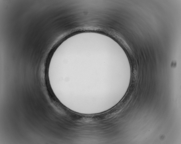X0000103320534200809051001