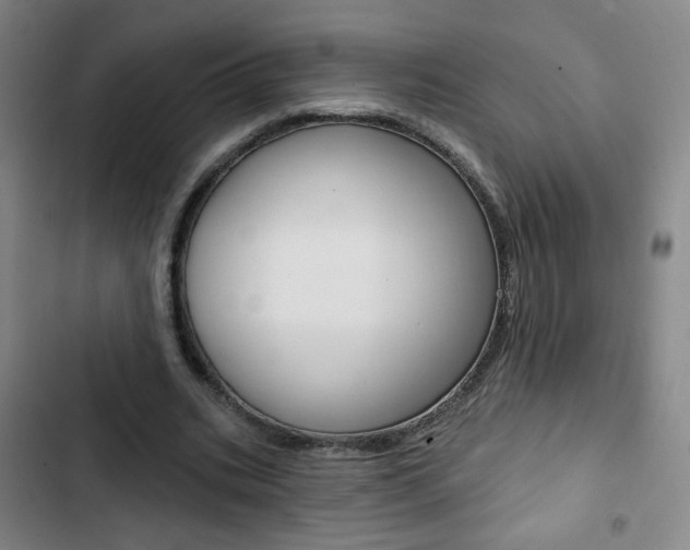 X0000103320535200809051001