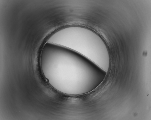 X0000103320539200809051001