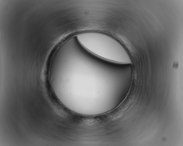 X0000103320540200809051001