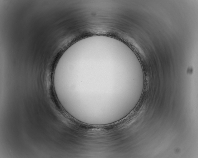X0000103320541200809051001