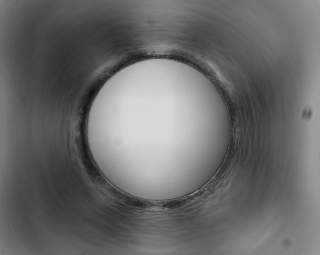 X0000103320543200809051001