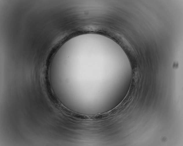 X0000103320544200809051001