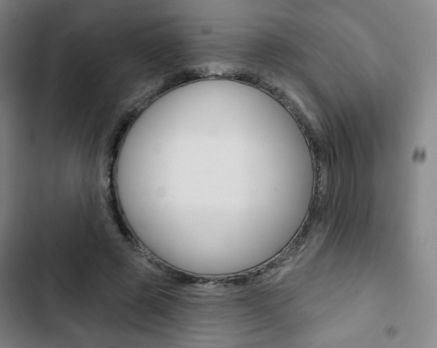 X0000103320545200809051001