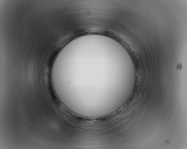 X0000103320550200809051001