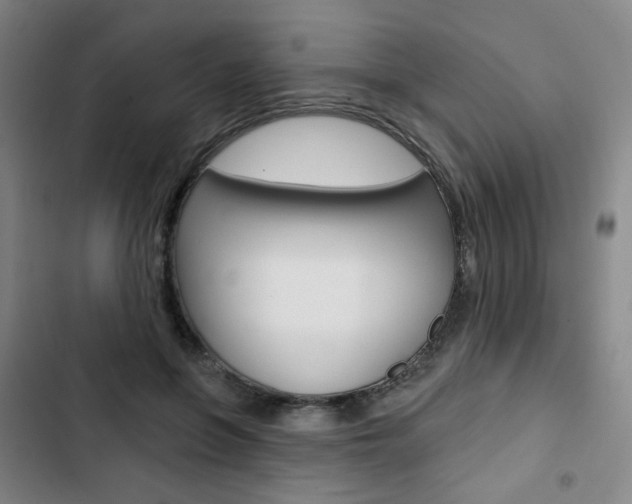 X0000103320551200809051001