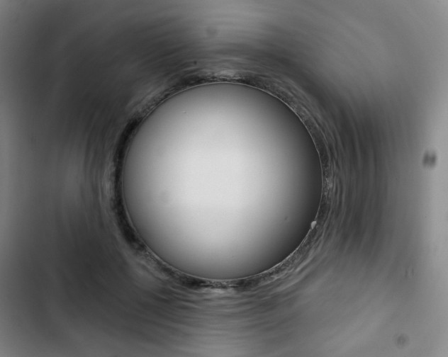 X0000103320552200809051001