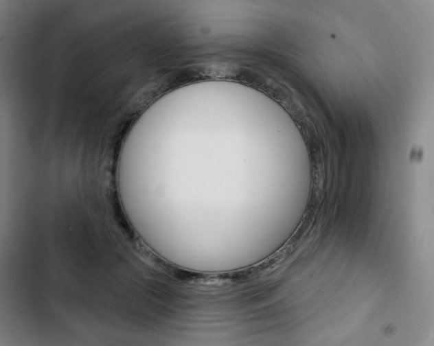 X0000103320553200809051001