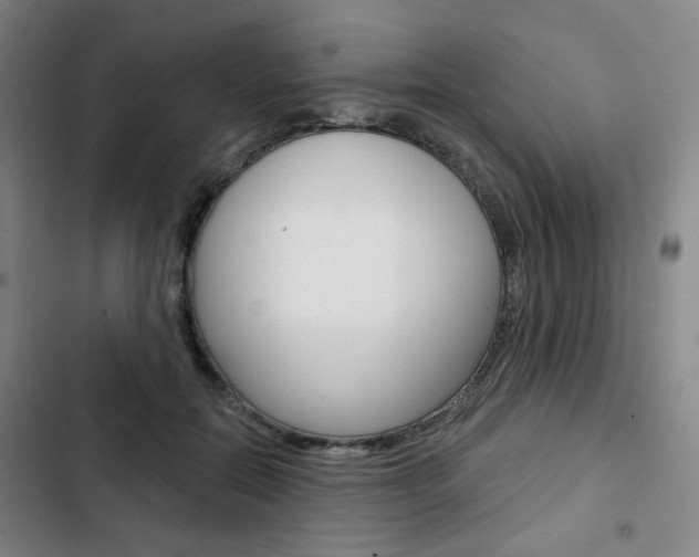 X0000103320554200809051001
