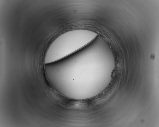 X0000103320555200809051002