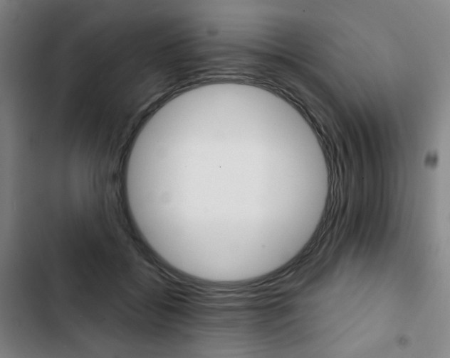 X0000103320556200809051002