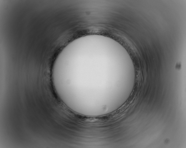 X0000103320557200809051002