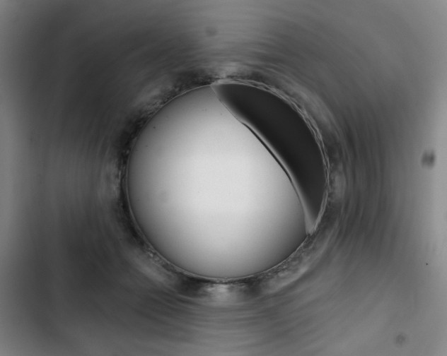 X0000103320558200809051002