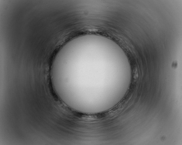 X0000103320559200809051002