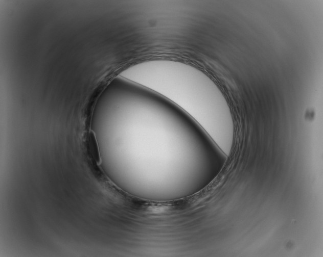 X0000103320560200809051002