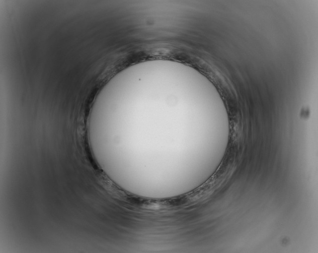 X0000103320561200809051002