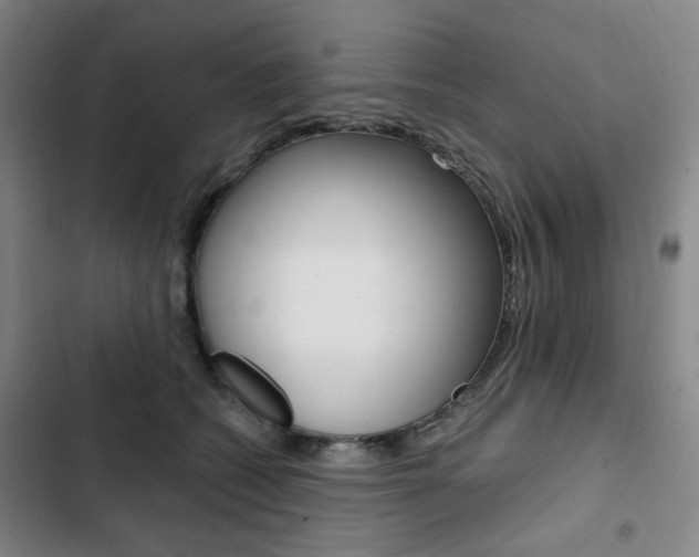 X0000103320562200809051002