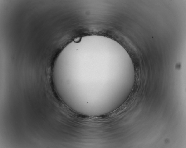 X0000103320563200809051002