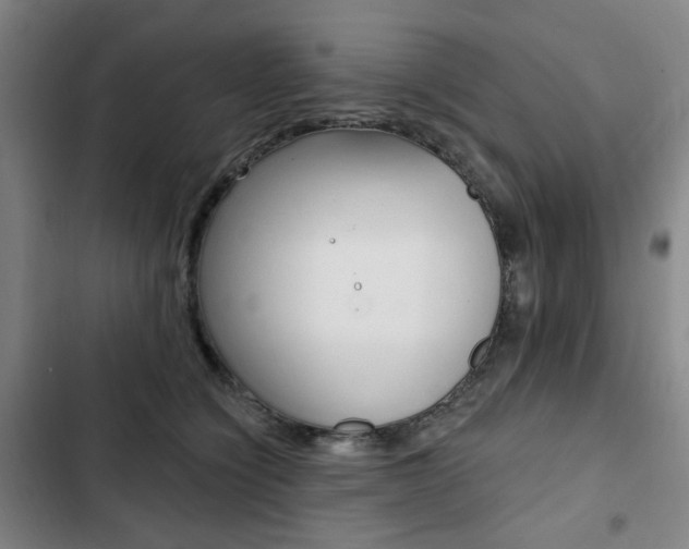 X0000103320564200809051002
