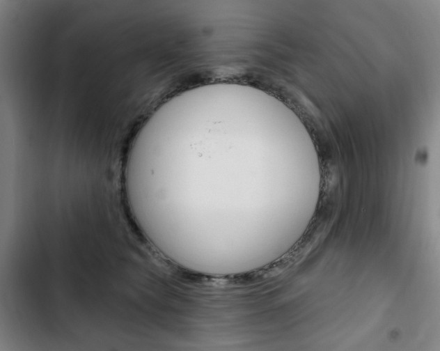 X0000103320565200809051002