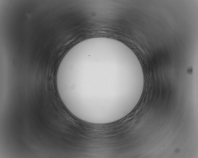 X0000103320566200809051002