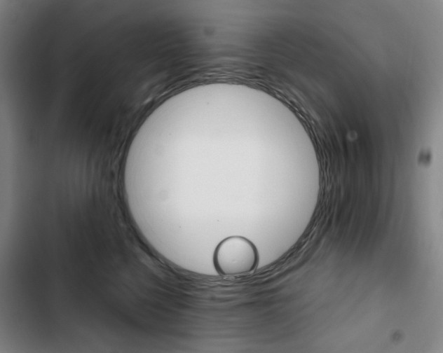 X0000103320568200809051002