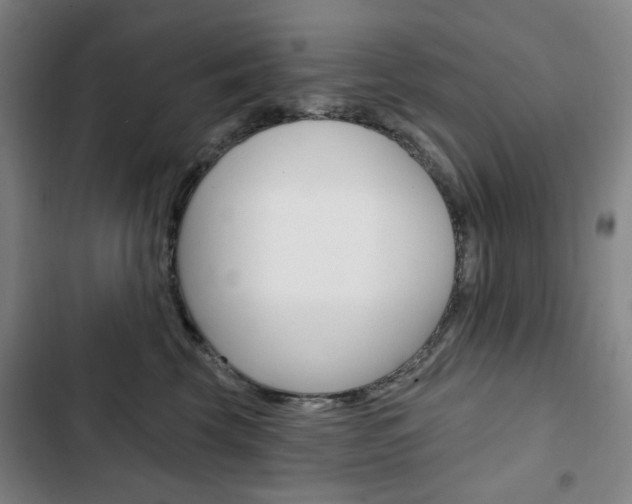 X0000103320569200809051002