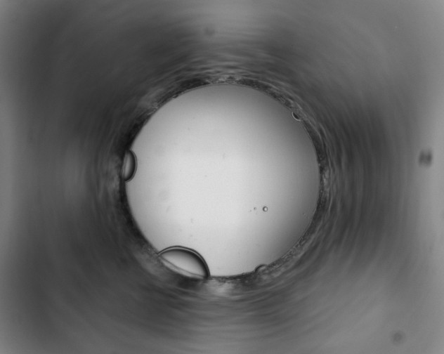 X0000103320570200809051002