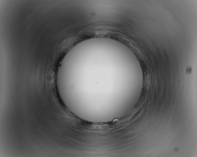 X0000103320571200809051002