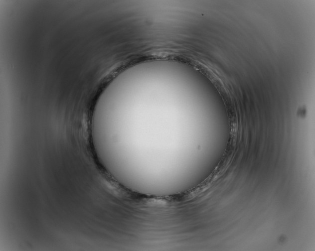 X0000103320572200809051002