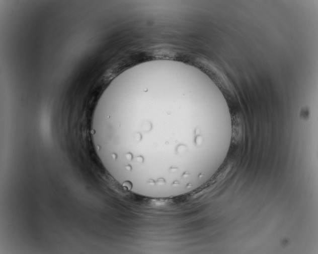X0000103320573200809051002