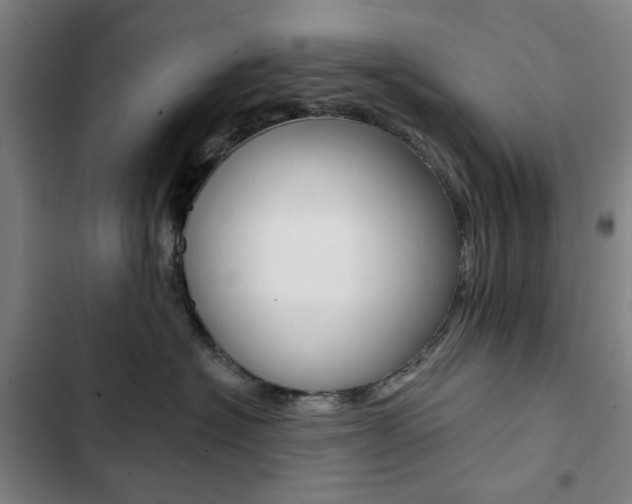 X0000103320574200809051002