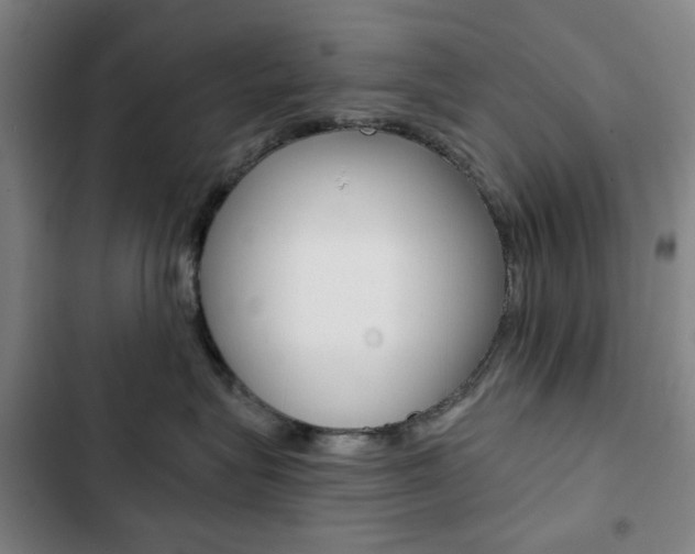 X0000103320575200809051002