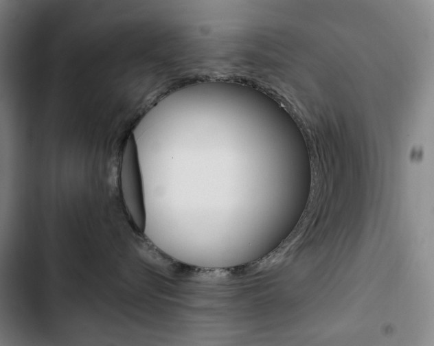 X0000103320576200809051002