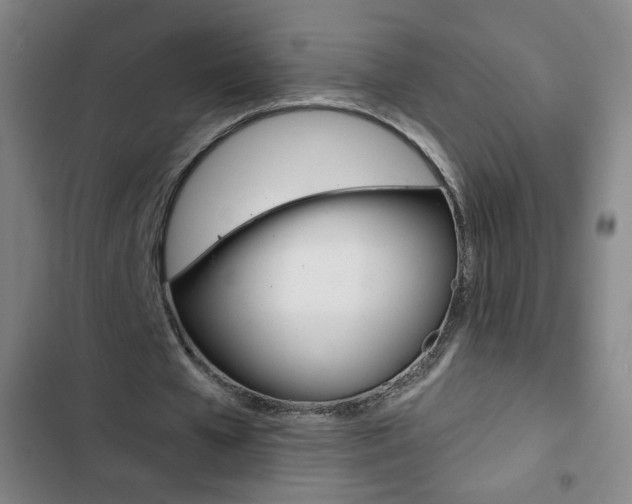 X0000103320577200809051001