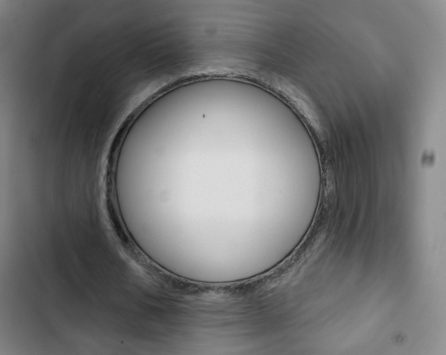 X0000103320578200809051001