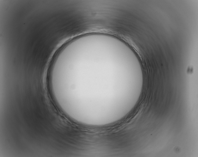 X0000103320579200809051001