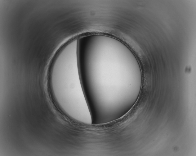 X0000103320580200809051001