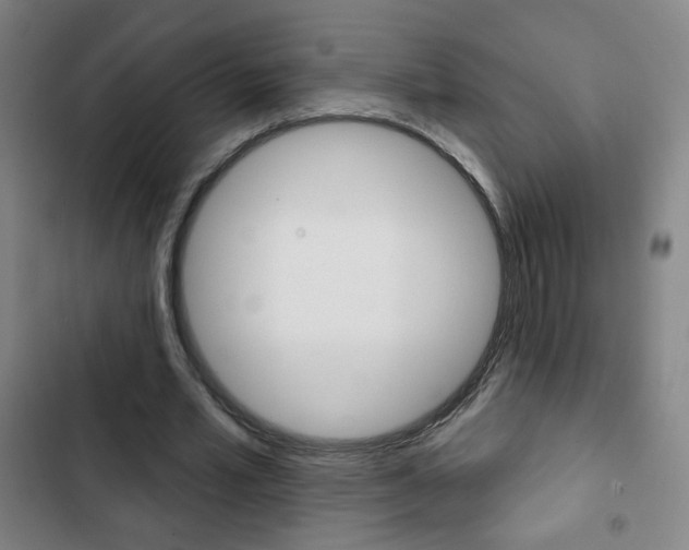 X0000103320581200809051001