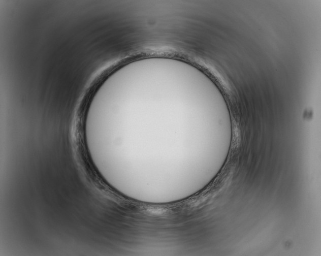 X0000103320583200809051001