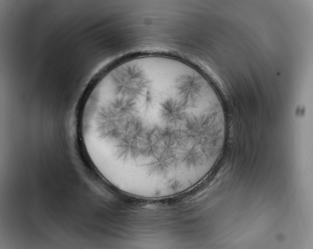 X0000103320584200809051001