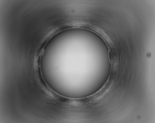 X0000103320585200809051001