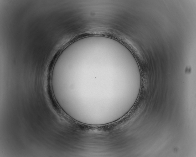 X0000103320586200809051001