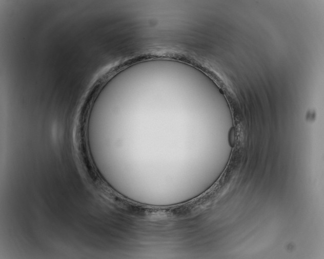 X0000103320587200809051001