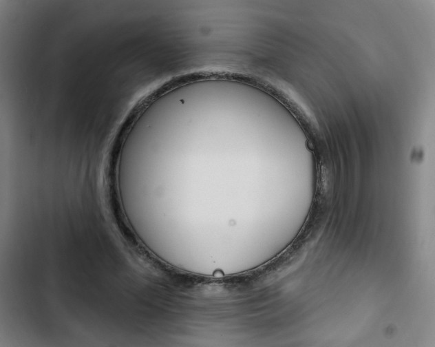 X0000103320588200809051001