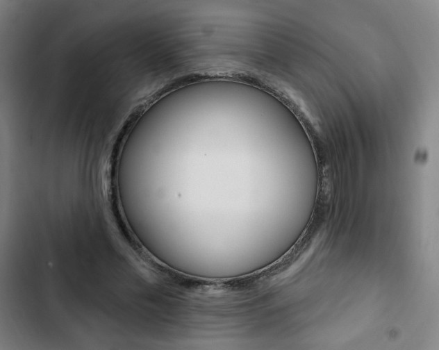 X0000103320589200809051001
