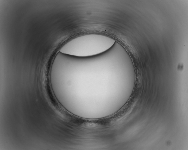 X0000103320590200809051001