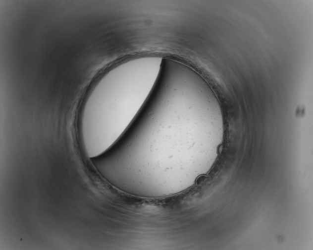 X0000103320592200809051001