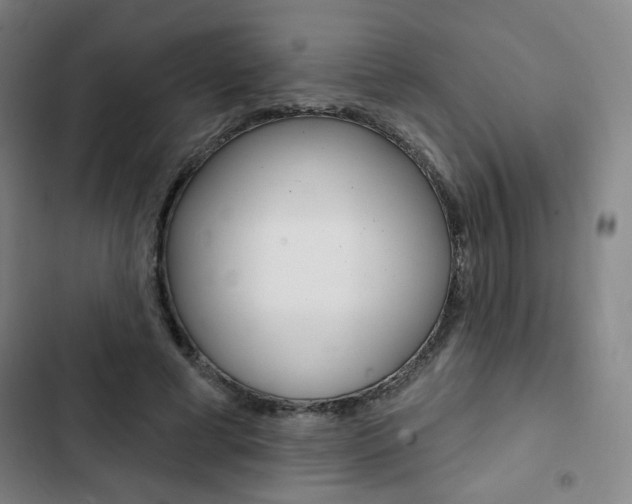 X0000103320593200809051001