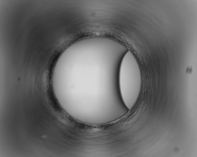 X0000103320594200809051001